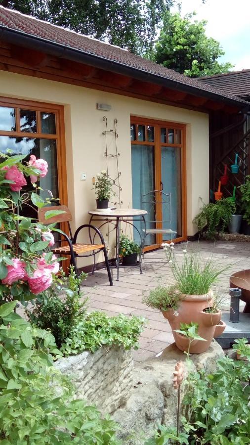 Apartment Mit Gartenblick Eckersdorf ภายนอก รูปภาพ