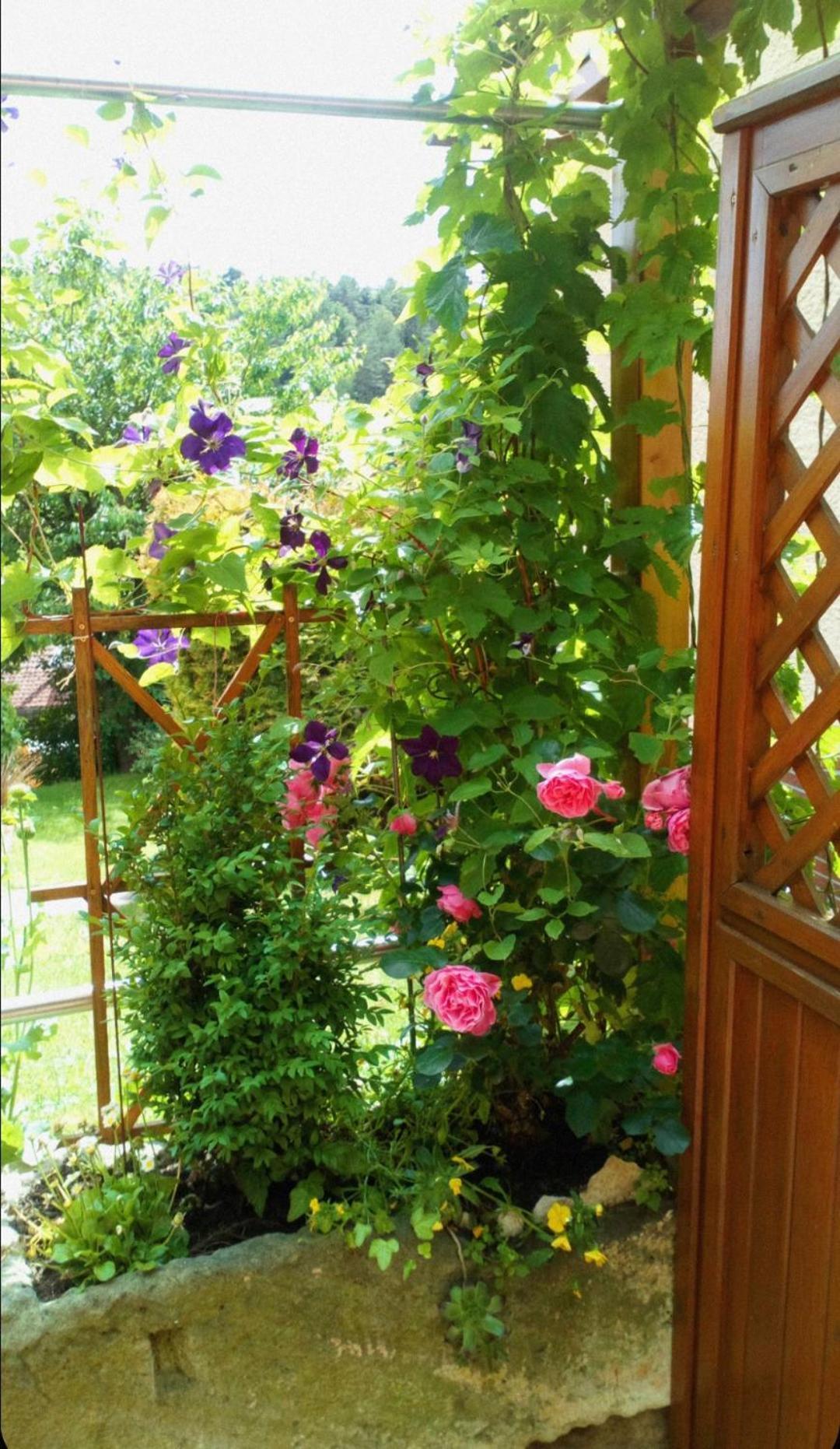 Apartment Mit Gartenblick Eckersdorf ภายนอก รูปภาพ