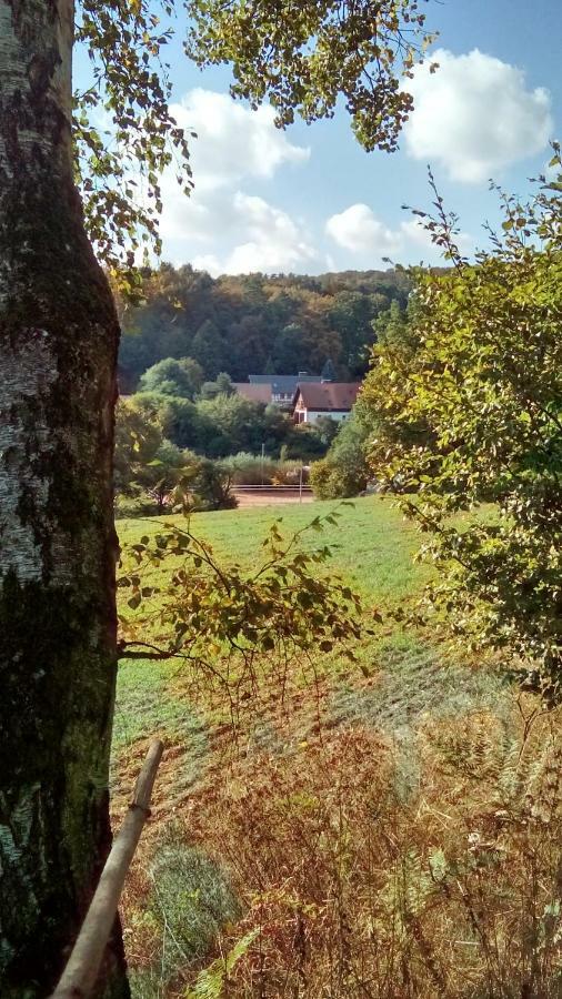 Apartment Mit Gartenblick Eckersdorf ภายนอก รูปภาพ