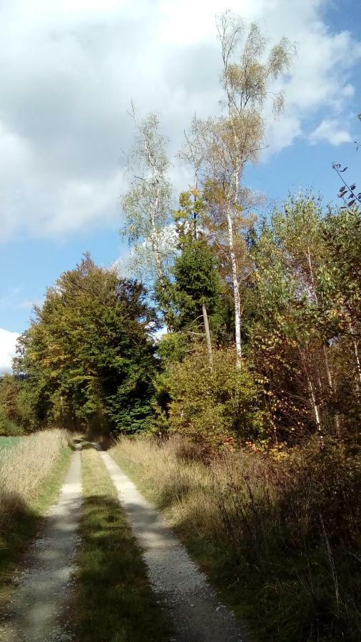 Apartment Mit Gartenblick Eckersdorf ภายนอก รูปภาพ