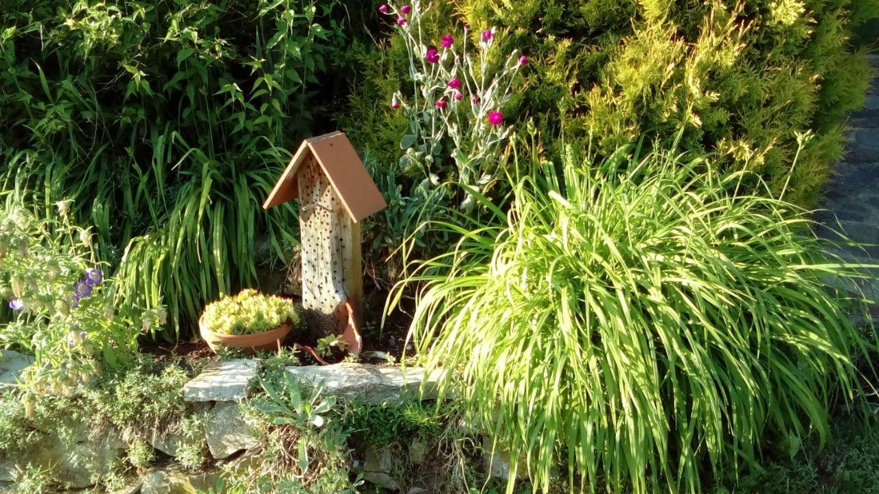 Apartment Mit Gartenblick Eckersdorf ภายนอก รูปภาพ