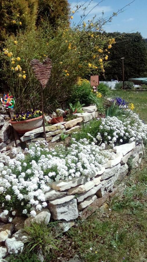 Apartment Mit Gartenblick Eckersdorf ภายนอก รูปภาพ