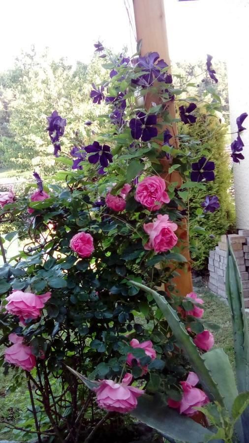 Apartment Mit Gartenblick Eckersdorf ภายนอก รูปภาพ