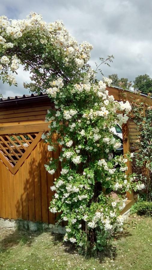 Apartment Mit Gartenblick Eckersdorf ภายนอก รูปภาพ
